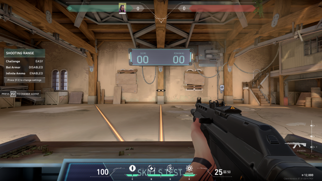 Reyna using the Nerd Glasses crosshair in VALORANT's shooting range